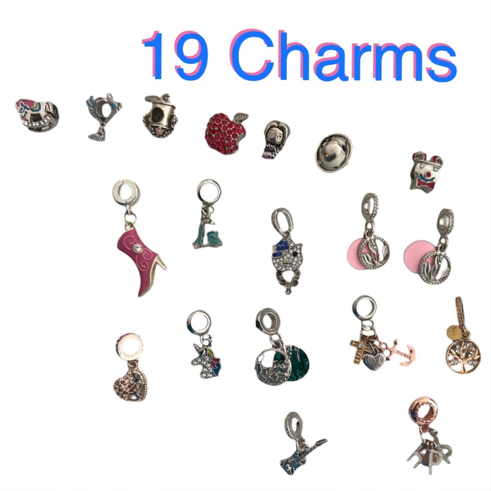 Lot of 19 Mixed Enamel & Metal Charms